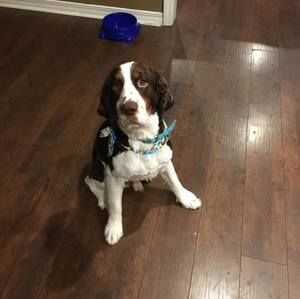 Meet your Posher, Brett